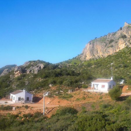 La Solana De Turon. La Coscoja. Villa Ardales Exteriör bild